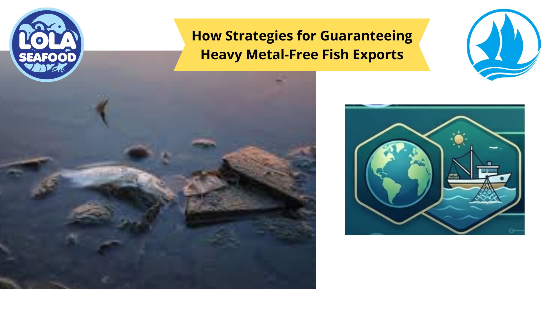 How Strategies for Guaranteeing Heavy Metal-Free Fish Exports
